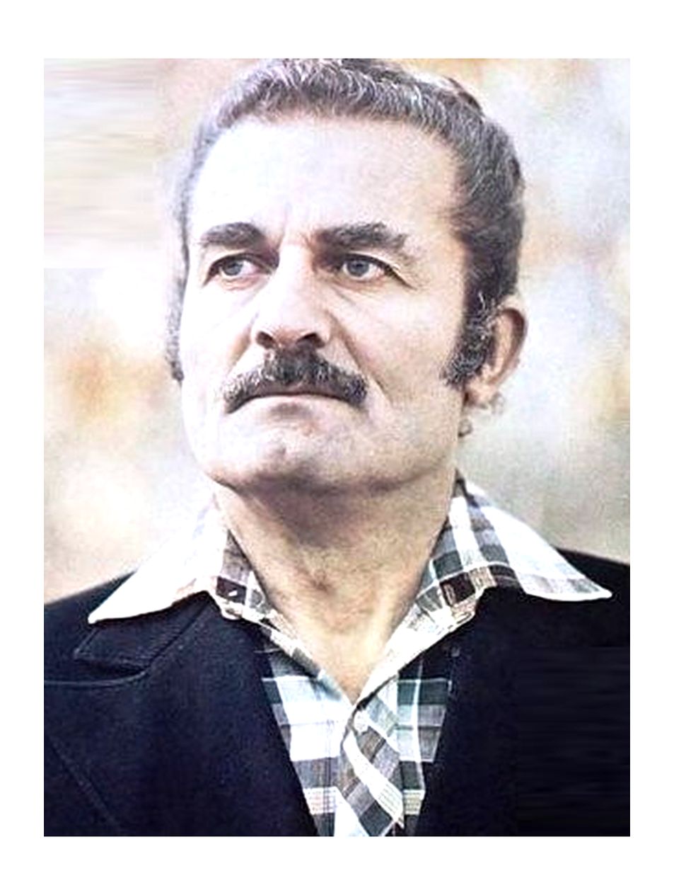 Гамлет Гонашвили